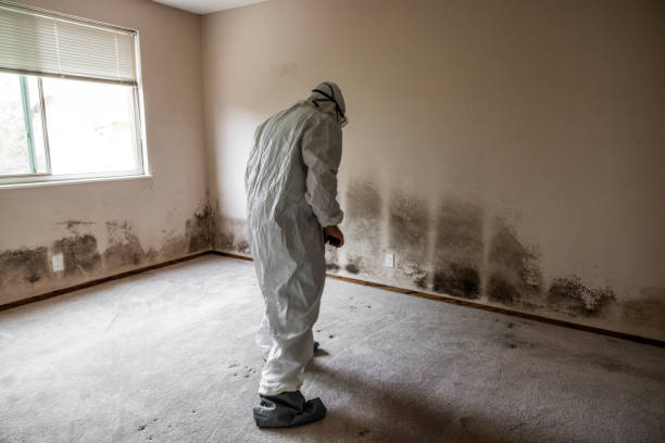 Chualar, CA Mold Removal Company