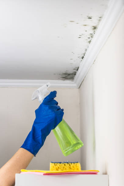 Best Mold Testing  in Chualar, CA