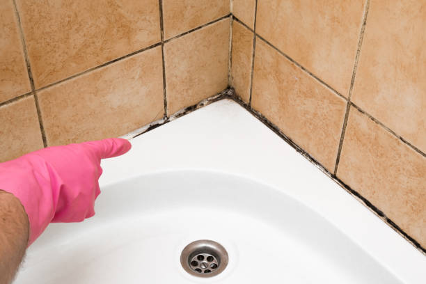 Best Mold Inspection  in Chualar, CA